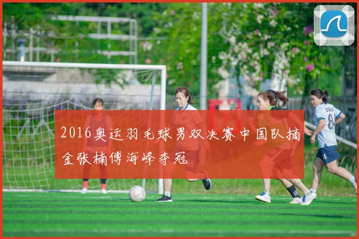 2016奥运羽毛球男双决赛中国队摘金张楠傅海峰夺冠