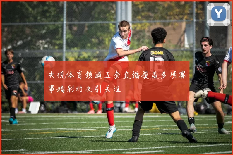 央视体育频道五套直播覆盖多项赛事精彩对决引关注