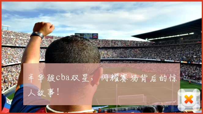 辛华骏cba双星，闪耀赛场背后的惊人故事！