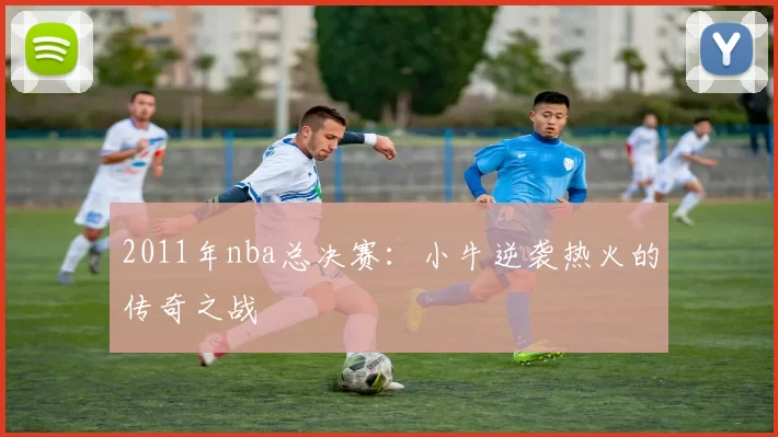 2011年nba总决赛：小牛逆袭热火的传奇之战